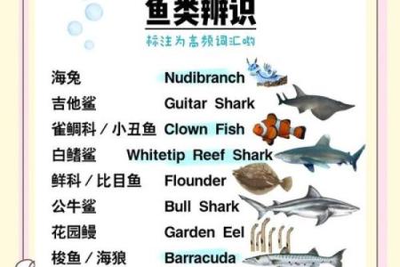 打造吸引力十足的海洋生物品牌名