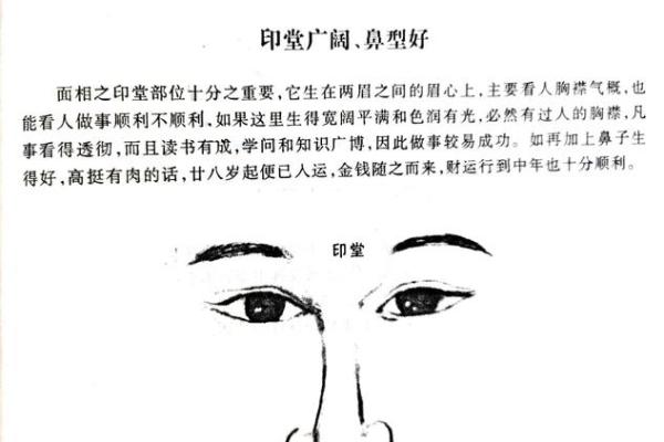 面相揭秘：揭秘标致面相的财运与运势