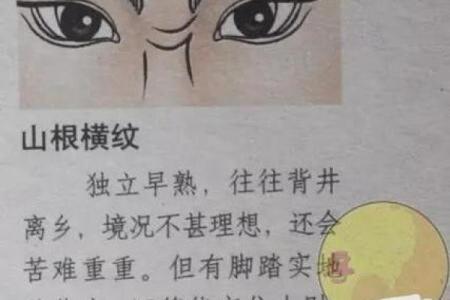 面相揭秘：揭秘标致面相的财运与运势