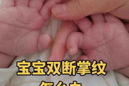 两岁宝宝手相揭秘：宝宝命运密码，快来解锁