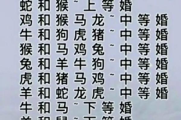 属相配对大揭秘：找到你的命中注定