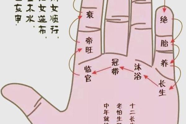 八字妻宫解析：揭开命运中的配偶之谜