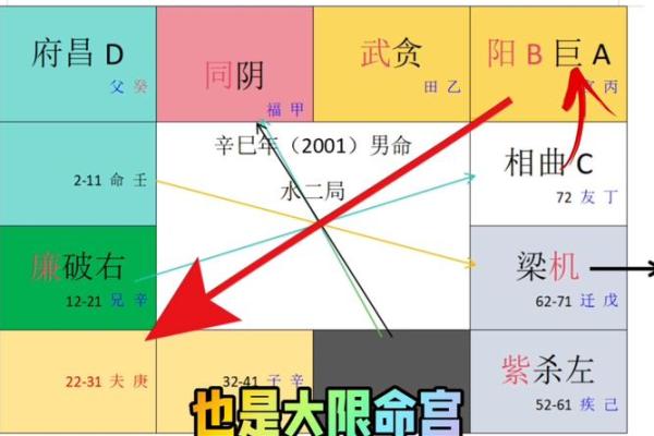 深入解析紫微盘：揭示你的命运密码