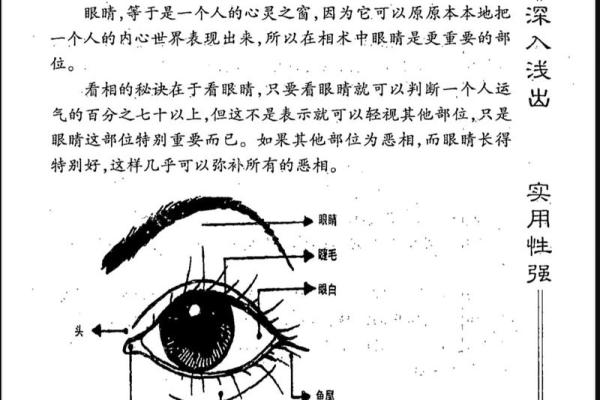面相揭秘：眼眸透露的神秘魅力，一眼看穿命运走向