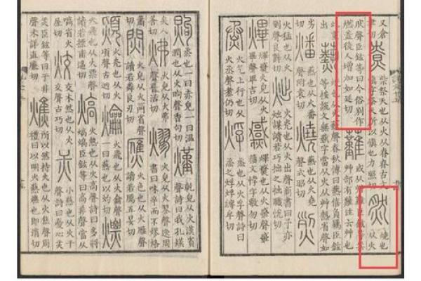 想知道然五行属性的真正含义吗？这里告诉你一切