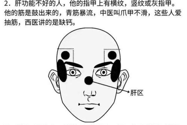 面相揭秘：努力程度决定命运，看脸就能预知未来成功