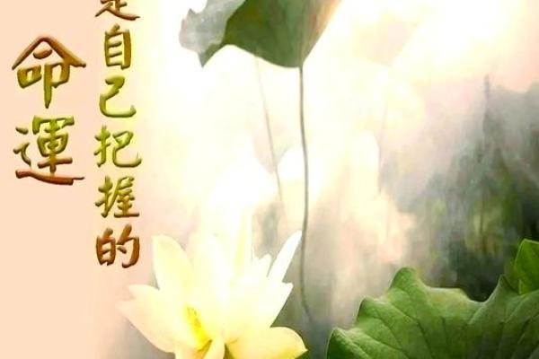2月14日，你的爱情运势揭秘：揭秘单身狗的秘密武器