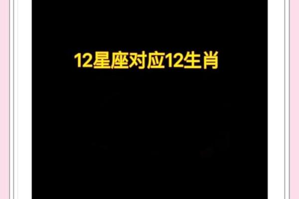 十二生肖新解：揭秘中国星座的秘密力量
