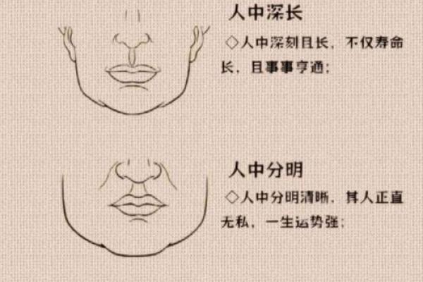 面相揭秘：中庭长面相的富贵命格