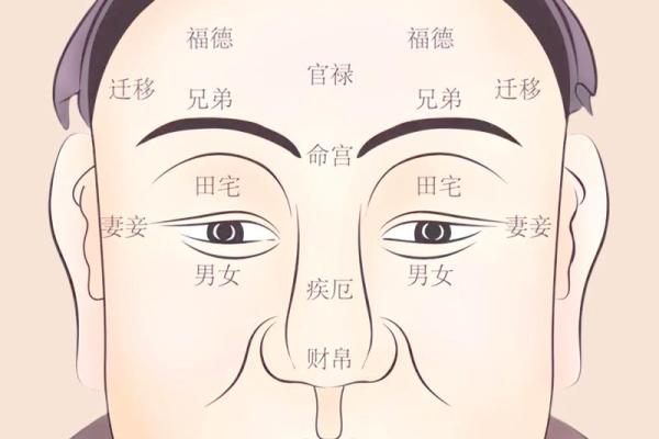 面相揭秘：中庭长面相的富贵命格