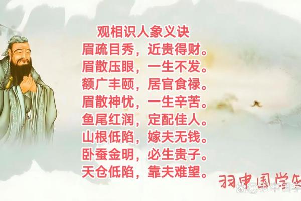 面相揭秘：道家风水大师亲授，一秒看透命运起伏