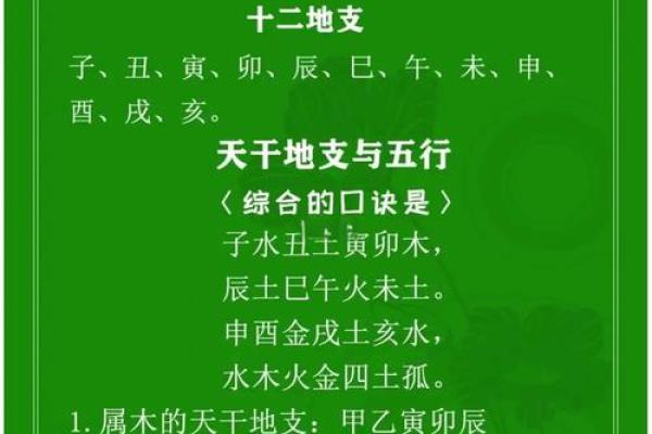 为什么学天干地支念法如此重要？答案在这里