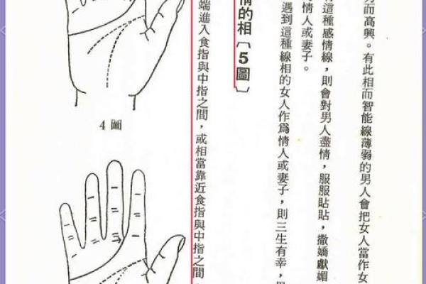 揭秘：看手相的年龄奥秘，揭秘你的命运密码