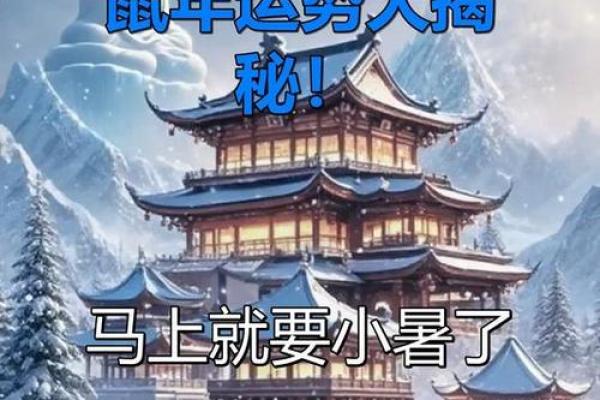 鼠年易逝，生肖寿命短揭秘