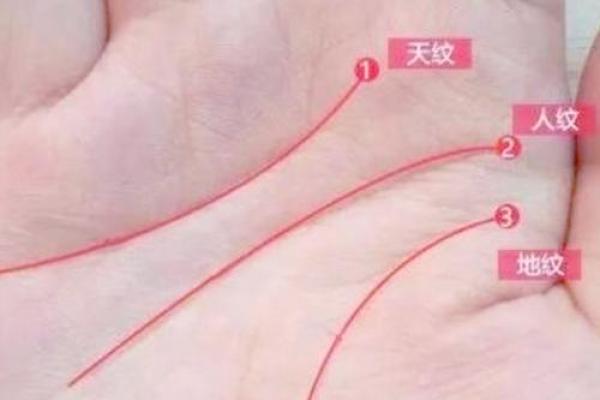 手相揭秘：弃祖而立，命运转折点竟在手心