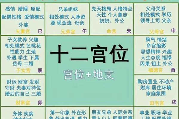 紫薇排盘ABC揭秘：从入门到精通的完整指南