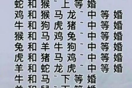 属相配对大揭秘：找到你的命中注定