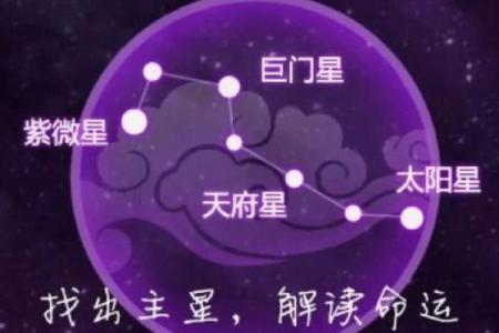 深入解析紫微盘：揭示你的命运密码