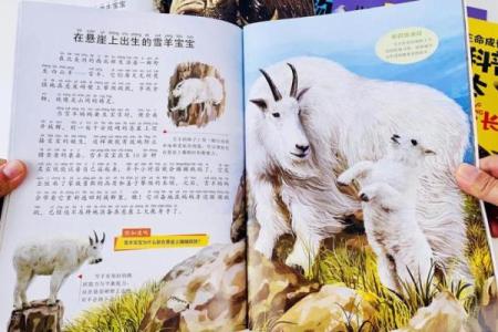 木命与冬季的奇妙结合，探索命运的奥秘
