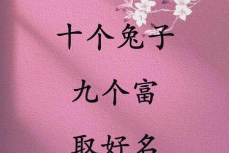 这些动物名字让公司更具活力与象征意义