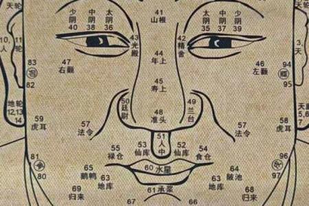 面相揭秘：眼眸透露的神秘魅力，一眼看穿命运走向