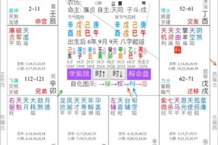紫微斗数排盘揭秘：名人命运与人生轨迹的神秘关联