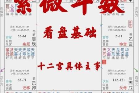 用紫薇排盘解析你的旅行运势，抓住幸运的旅行窗口