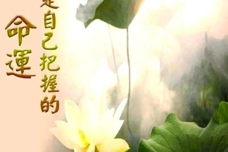 2月14日，你的爱情运势揭秘：揭秘单身狗的秘密武器