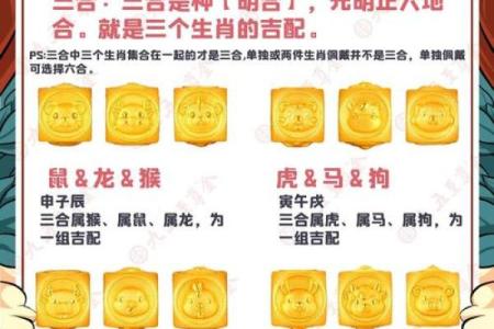 十二生肖新解：揭秘中国星座的秘密力量