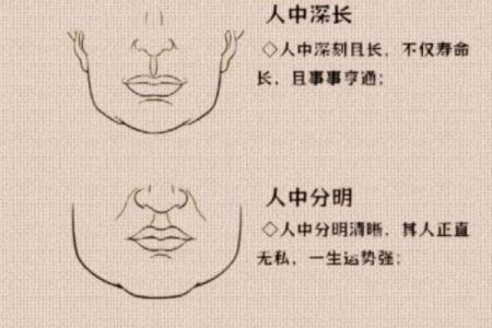 面相揭秘：中庭长面相的富贵命格