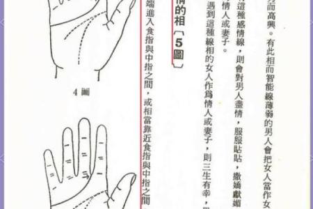 揭秘：看手相的年龄奥秘，揭秘你的命运密码