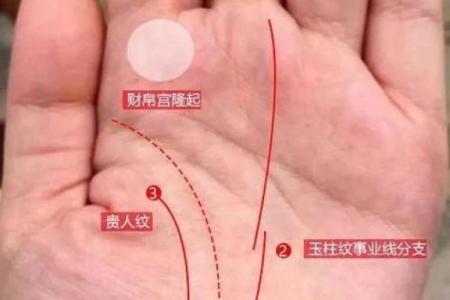 揭秘手相奥秘：线粗暗示的女性命运密码