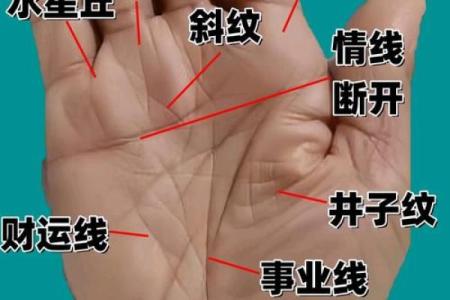 手相揭秘：弃祖而立，命运转折点竟在手心