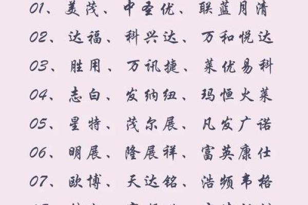 最受欢迎的科技公司名字解析