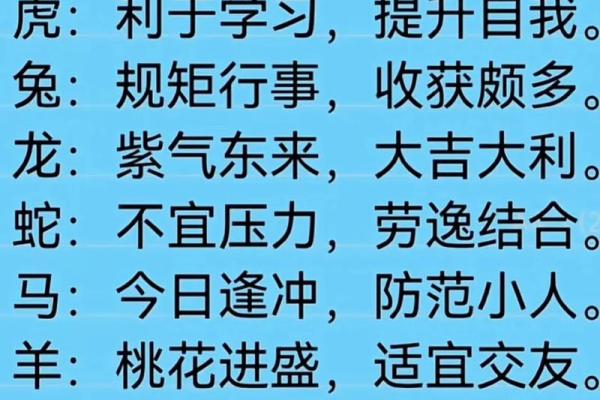 生肖遇合，运势大爆发