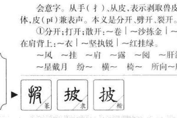 波字五行分析：它到底属于什么