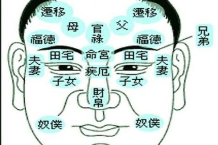 桃花眼透露的财运秘密：揭秘面相中的财星眼