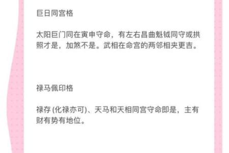 破解紫微斗数的奥秘：科技网排盘让你轻松看透未来