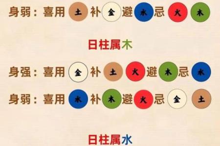 波字五行分析：它到底属于什么
