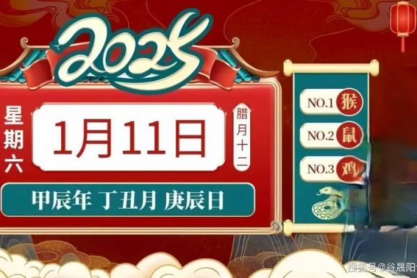 生肖运势大揭秘开奖盛典，惊喜连连，快来一探究竟
