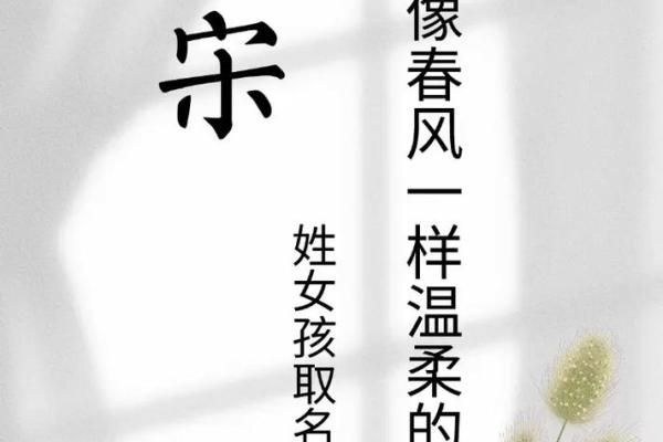 宋姓女孩起名技巧，如何选出寓意深远的名字