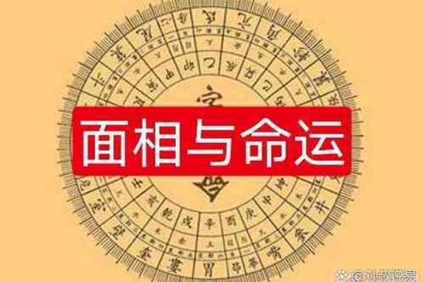 子女宫面相揭秘：如何一眼看出你的子女运势