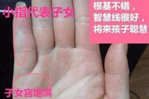 子女宫面相揭秘：如何一眼看出你的子女运势