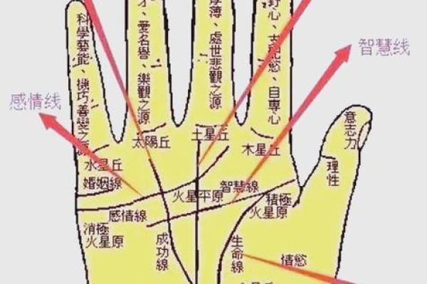 掌中奥秘：揭秘手相学的神奇力量