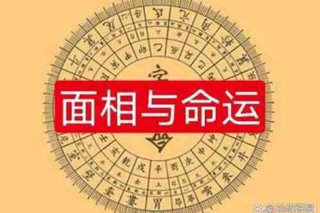 子女宫面相揭秘：如何一眼看出你的子女运势