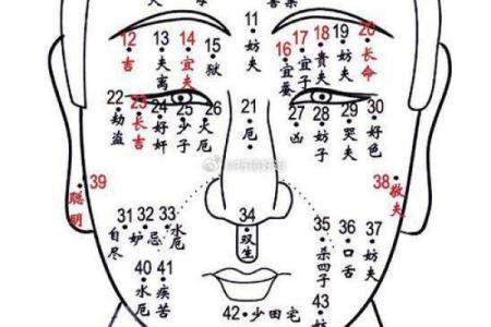 痣相图解：揭秘面部痣相，助你洞察人生运势