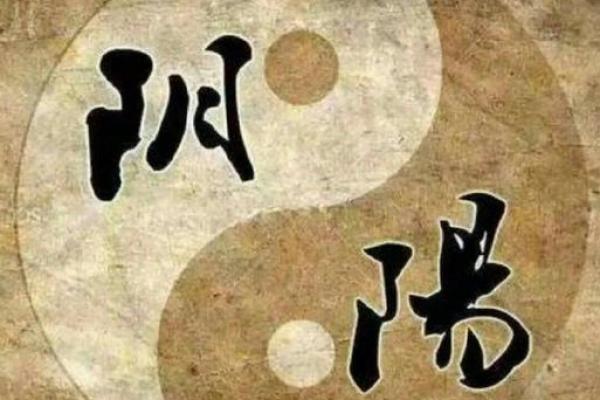 脾虚家居风水揭秘：如何布局提升健康运势？