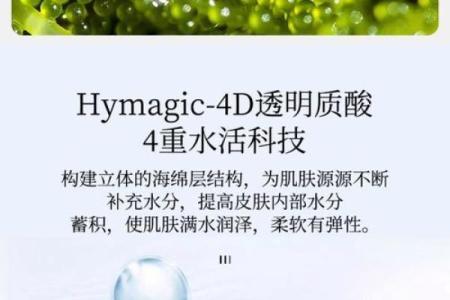 三点水公司名称，让品牌更具水润魅力