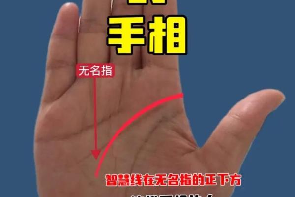 手相揭秘：看掌纹，轻松预测孩子读书成绩超神技巧