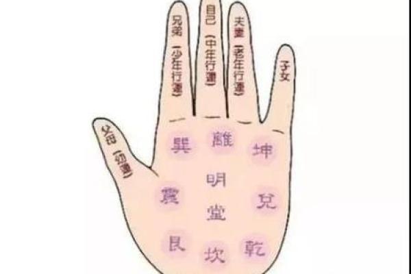 手相揭秘：看掌纹，轻松预测孩子读书成绩超神技巧